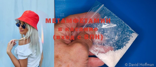 индика Болотное