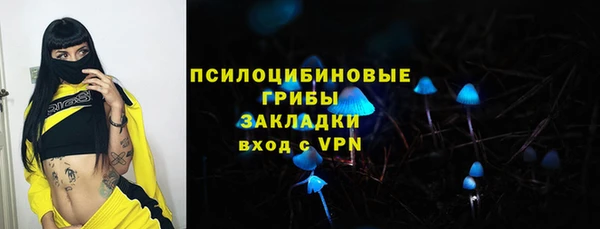 ПСИЛОЦИБИНОВЫЕ ГРИБЫ Болохово