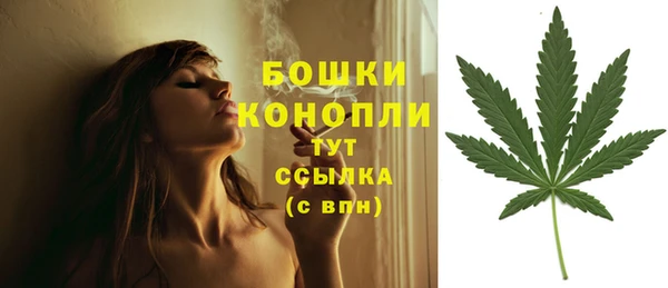 ГАЛЛЮЦИНОГЕННЫЕ ГРИБЫ Валдай