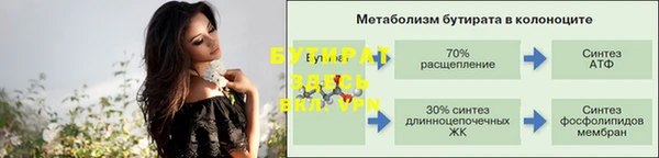 индика Болотное