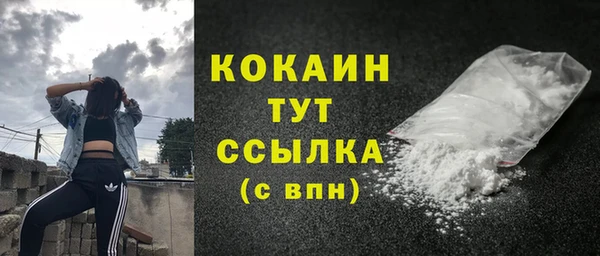 ПСИЛОЦИБИНОВЫЕ ГРИБЫ Болохово