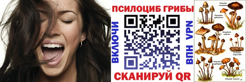 как найти наркотики Мариинский Посад Галлюциногенные грибы мицелий